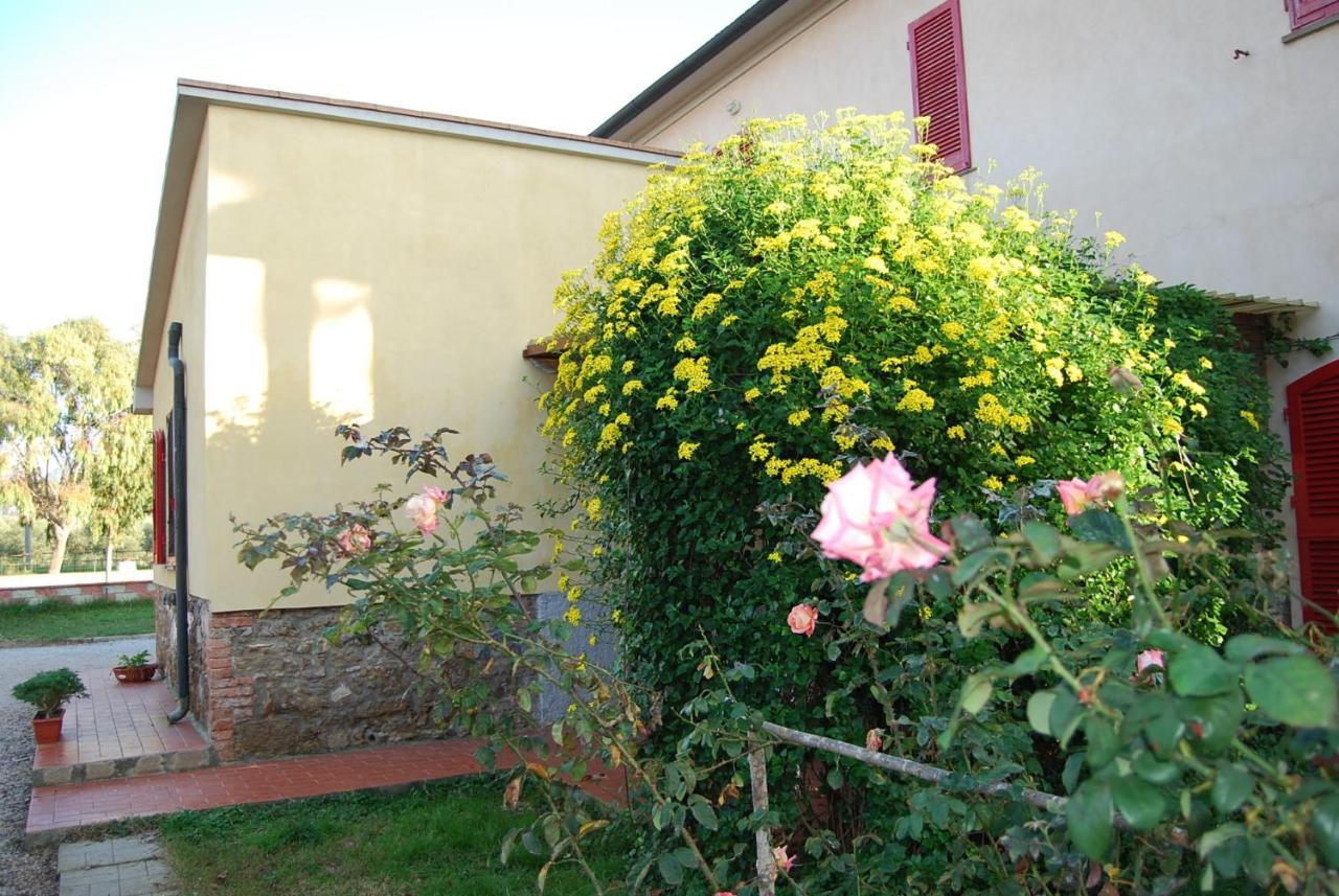 Casa Vacanze Guardamare San Vincenzo Exteriér fotografie